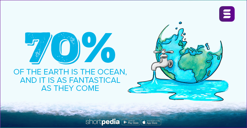 70% of the earth is the ocean, and it is as fantastical as they come