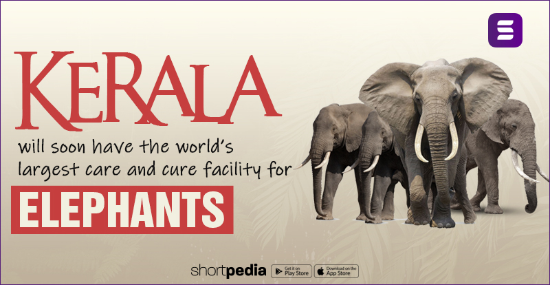 Kerala will soon have the world’s largest care and cure facility for elephants