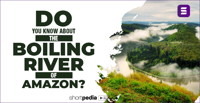 Do you know about the boiling river of Amazon?